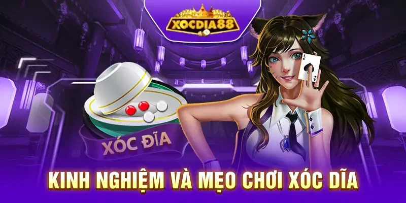 Kinh nghiệm và mẹo chơi xóc dĩa dễ thắng lớn
