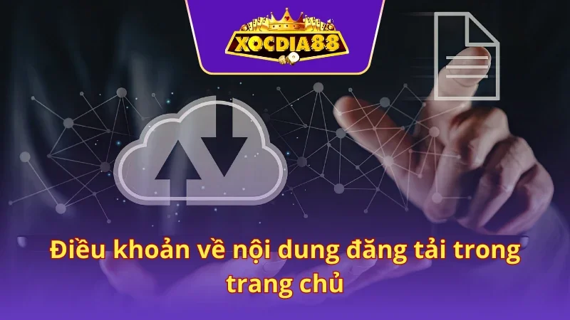Quy định về thông tin bài viết ở cổng game