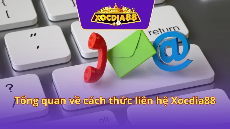 Giải trí không lo gặp rủi ro ở cổng game đình đám