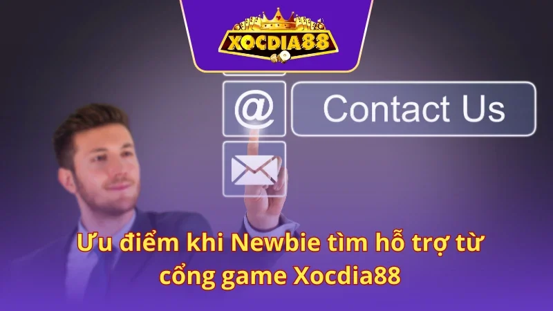 Tận hưởng tiện ích bất tận khi tìm kiếm đúng nơi hỗ trợ