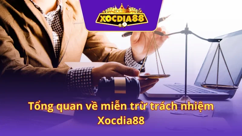 Sự thú vị của việc tân thủ tham gia soi kèo khi đã hiểu rõ quy định 